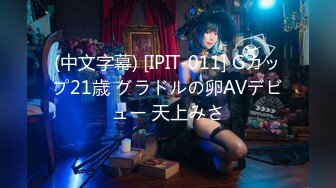 (中文字幕) [IPIT-011] Gカップ21歳 グラドルの卵AVデビュー 天上みさ