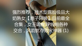 强烈推荐，技术型露脸极品大奶熟女【惠子阿姨】目前最全合集，女王调教3P啪啪各种交合，风韵犹存败火神器 (1)