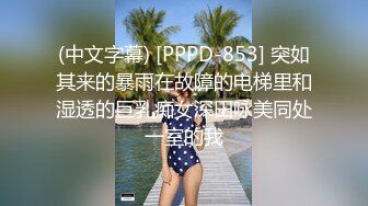 (中文字幕) [PPPD-853] 突如其来的暴雨在故障的电梯里和湿透的巨乳痴女深田咏美同处一室的我