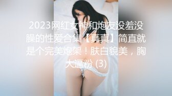 2023网红女神和炮友没羞没臊的性爱合集【真真】简直就是个完美炮架！肤白貌美，胸大逼粉 (3)